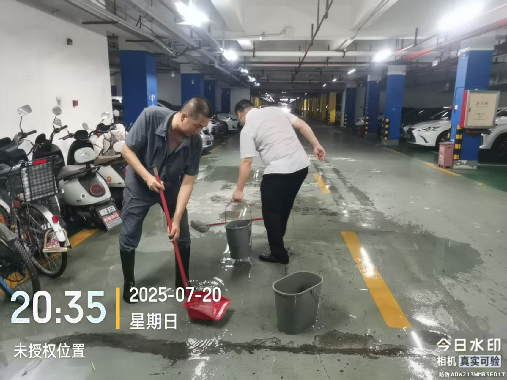 珠光物业1