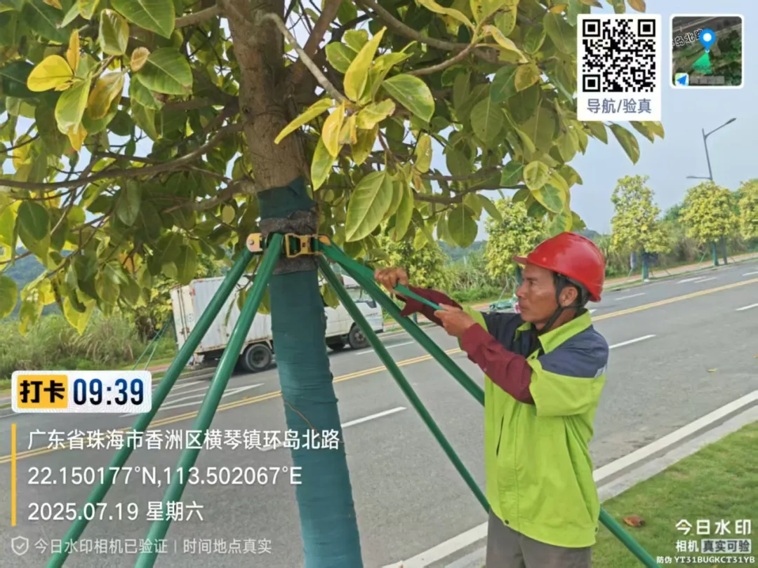 大横琴城资公司2