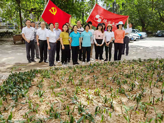 携手同栽新绿--共建幸福小区6.jpg